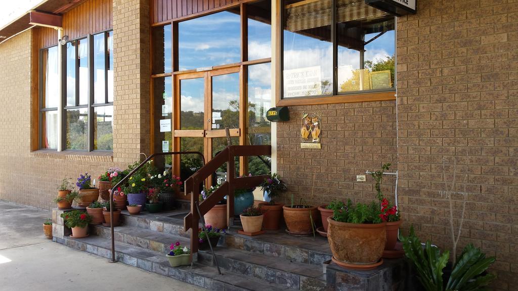 Cooma High Country Motel Екстериор снимка