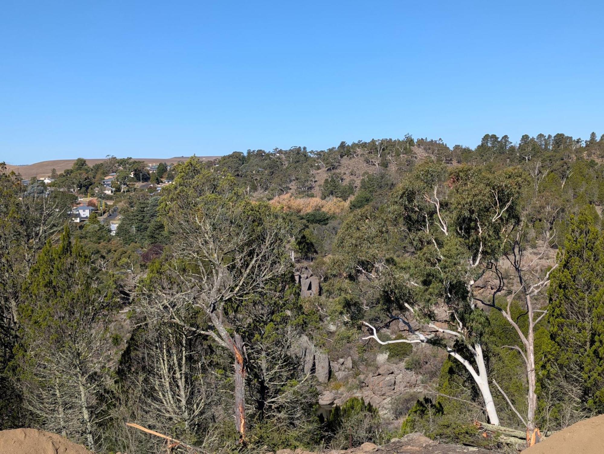 Cooma High Country Motel Екстериор снимка